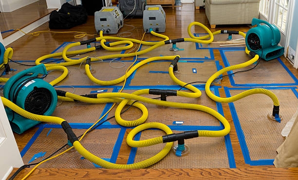 Professional Sewage Cleanup technician working in Dunkirk, IN